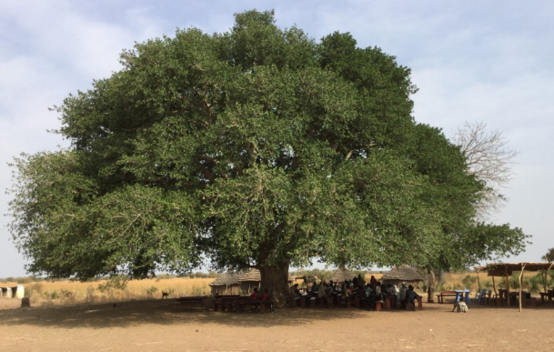 Christmas 2016 Newsletter