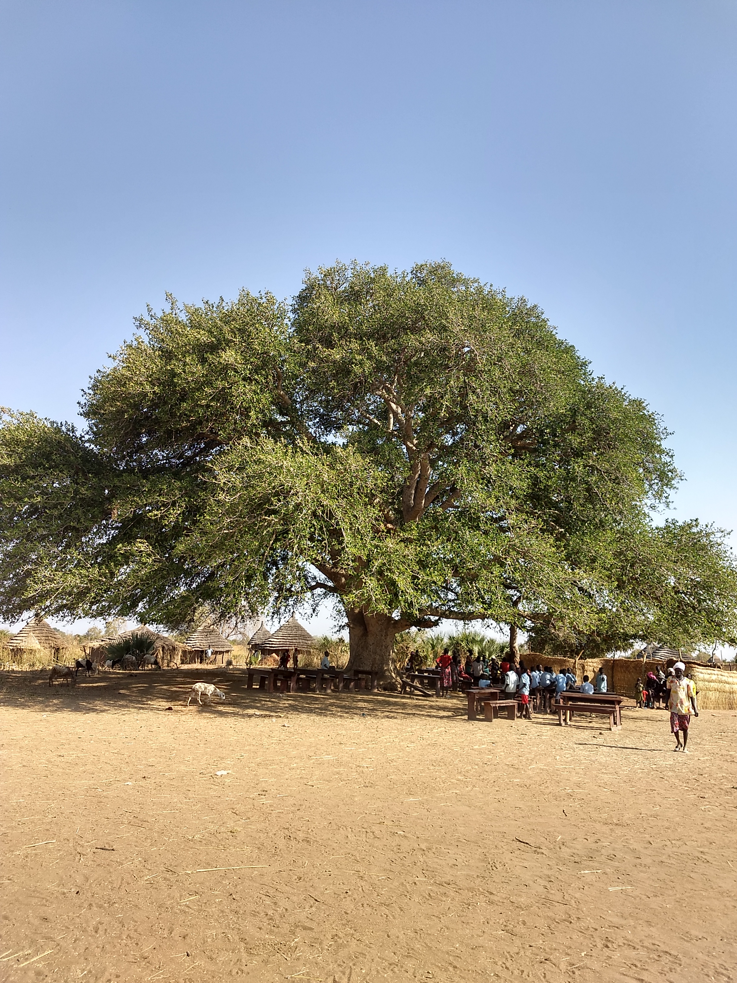 Agricultural Support